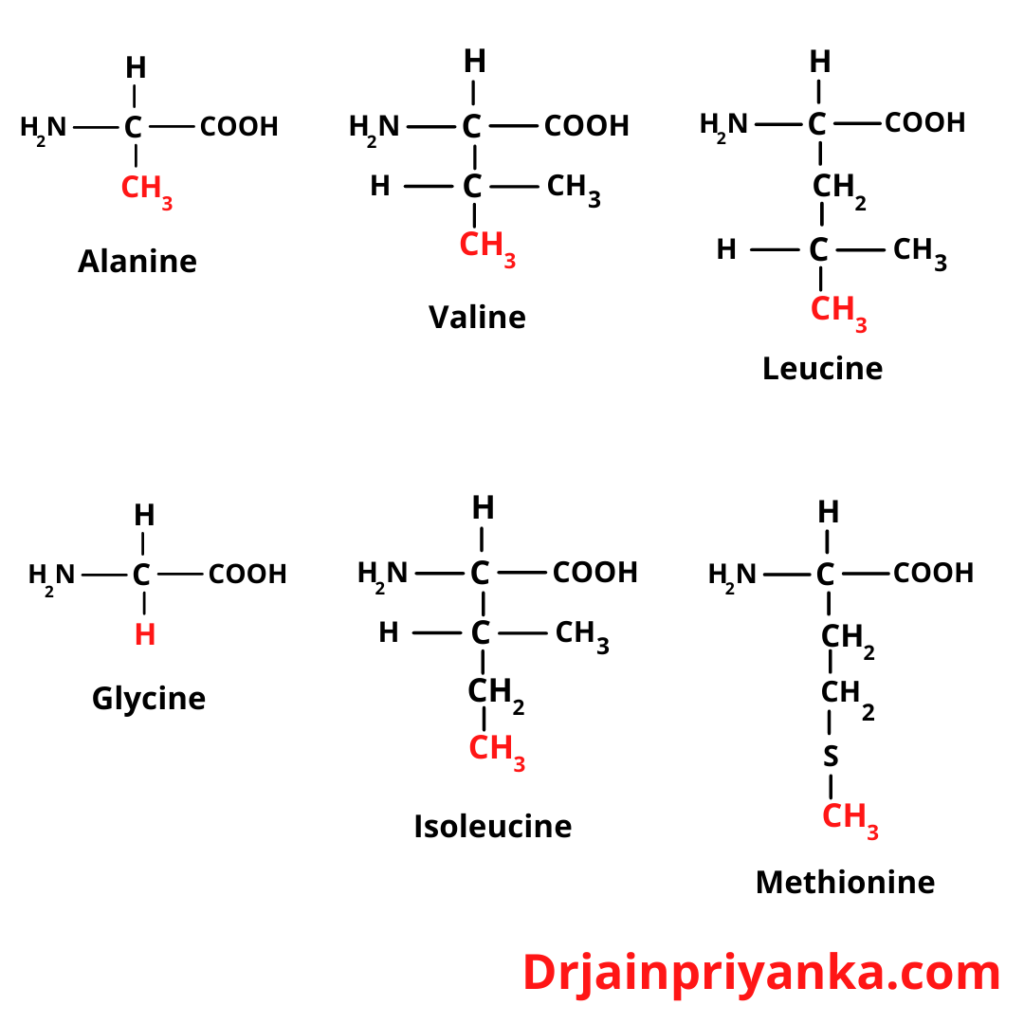Functions of Protein