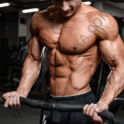 muscle gainer
best muscle gainer