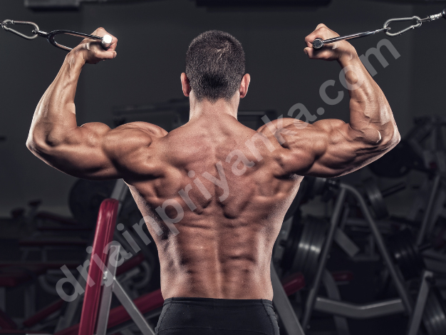 Biceps High Cable Curl