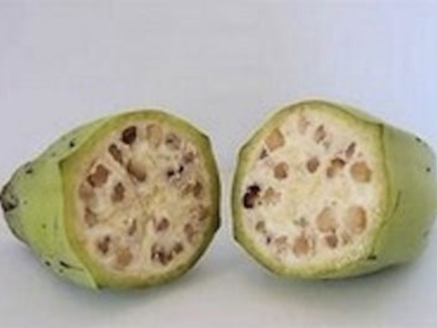Can I Eat Bananas For Weight Gain ?